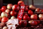 Apples, Jinan Market, China, Chinese, Asian, Asia, FGAV01P08_09
