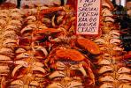Rango Alaska Crabs, Farmers Market, steamed, seafood, shellfish, FGNV01P05_19.0946