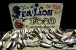 Sea Lion Food, fish, FGNV01P07_09