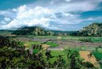 Rice Fields, Hills, Island of Bali, FMAV01P04_01.0838