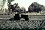 Tractor, Mechanized Farming, Plow, Plowing, Tilling, Farmer, FMAV01P14_07