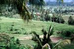 Terraced Rice Fields, Eastern Bali, FMAV02P07_02