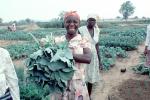 Woman with her Harvest, Smiles, FMJV01P04_10