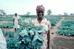 Woman with her Harvest, Smiles, FMJV01P04_13