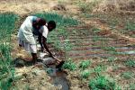 Cutting an irrigation ditch, Mother Farming with Child on her Back, near Tete, Mozambique, FMJV01P05_12