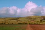 Artichoke Field, clouds, hills, Coastal Santa Cruz County, California, FMNV01P11_06.0948