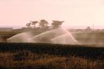 Water Irrigation, Sprinklers, FMNV01P11_07.0948