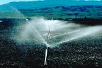 Irrigation, water, sprinkler, hills, FMNV02P03_15.0839