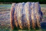 Rolled Hay Bale, FMNV07P07_17