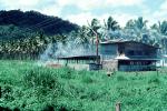 Palm Trees, grass, building, smoke, Samoa, FPPV01P13_10