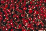Cherries, texture, background, FTFV01P10_19.0953