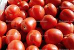 Tomatoes, texture, background, FTFV01P15_12