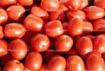 Tomatoes, texture, background, FTFV01P15_14