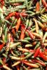 chili peppers, texture, background, FTFV02P04_05