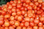 Tomatoes, texture, background, FTFV02P04_14