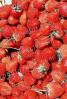 strawberry, texture, background, FTFV02P07_07