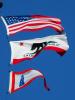 USA Flag, California State Flag, Lighthouse Flag, Fifty State Flags, GFLD01_005