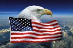 Eagle and Old Glory, Old Glory, USA, United States of America, Star Spangled Banner, GFLV01P09_13