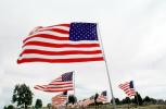 Old Glory, USA, United States of America, Star Spangled Banner, GFLV01P12_08
