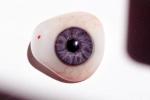 Eyeball, iris, pupil, glass eye, Sclera, HAEV01P02_06