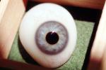 Eyeball, iris, pupil, glass eye, Sclera, HAEV01P02_10