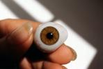 Eyeball, iris, pupil, glass eye, Sclera, HAEV01P02_11