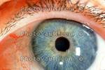 Lens, Cornea, Eyeball, iris, pupil, eyelash, Round, Circular, Circle, Sclera, HAEV01P03_17