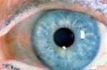 Lens, Cornea, Eyeball, iris, pupil, eyelash, Round, Circular, Circle, Sclera, HAEV01P03_18