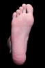 Foot, Toes, Joints, Skin, Epidermis, Heel, HASV01P15_18