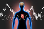 Coherent vx Inchoheren Wave Form, Heart Brain Connection, Cardio, HAWD01_002B