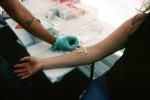 Woman, getting a, Blood Test, Arm, Needle, HODV02P09_13