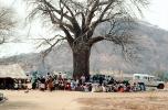 Well Baby Clinic, Baobab Tree, Adansonia, Rushinga, HOFV01P04_03