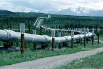 Alaska Pipeline, IPOV03P01_03