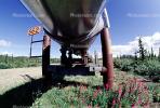 Alaska Pipeline, IPOV03P01_19