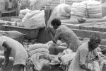 Laundry, Child-Labor, ITWPCD3306_024