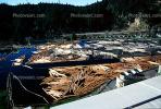 Log Rafts, Lumber Mill, Humboldt County, IWLV01P06_04