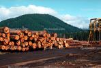 Logs, stacked, stacks, pile, IWLV01P07_18.2171