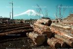 Lumber Mill, Logs, stacked, stacks, pile, Oshino, Japan, IWLV01P10_03.2172