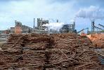 crane, Smoke, Air Pollution, soot, Pulp Mill, sawdust mounds, building, IWLV01P13_04.2172