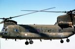 Boeing-Vertol CH-47 Chinook Helicopter, MYAV04P05_12