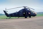 Westland, Helicopter, MYAV05P15_10