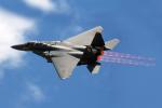 F-15E Strike Eagle, flight, flying, airborne, afterburners, MYFD01_239