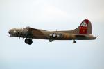 B-17, taking-off, airborne, tailwheel, B-17G, 42-31909, MYFD02_220