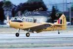 Fairchild primary trainer, PT-26 Cornell, MYFV01P01_10B