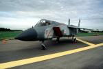 MiG-25 foxbat, Russian Fighter, MYFV01P12_11