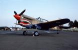 Curtiss, P-40 Warhawk, MYFV04P13_03