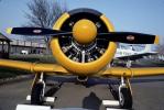 T-6G Texan, radial engine, propellers, spinner, head-on, MYFV08P09_17