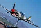 Curtiss P-40 Warhawk, March Air Force Base, Sunny Mead, California, MYFV09P10_15