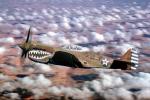 Curtiss P-40 Warhawk, MYFV15P04_04