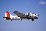 B-17 Flyingfortress, tailwheel, MYFV24P08_04